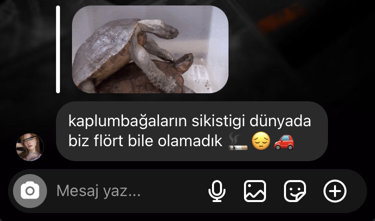 Kullanıcı görseli